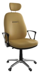 Fauteuil DREAM GM