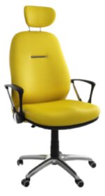 Fauteuil DREAM GM