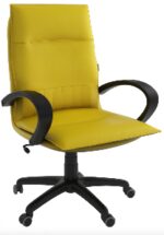 Fauteuil MANAGER PM